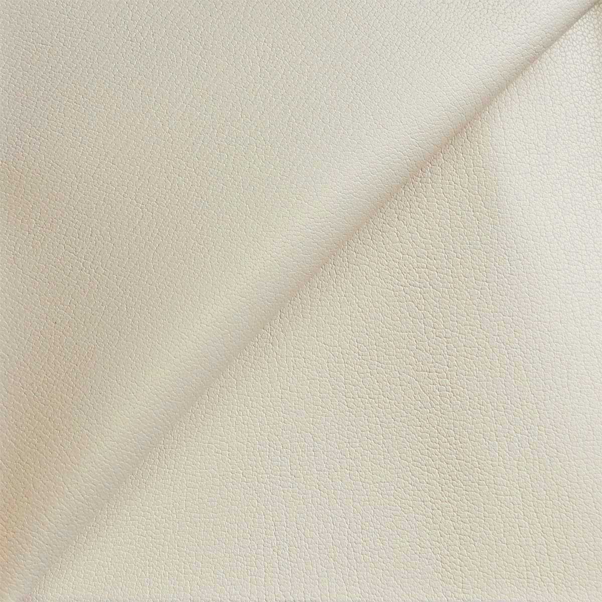 Peau de cuir de chèvre LPR79