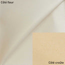 Peau de cuir de chèvre LPR79