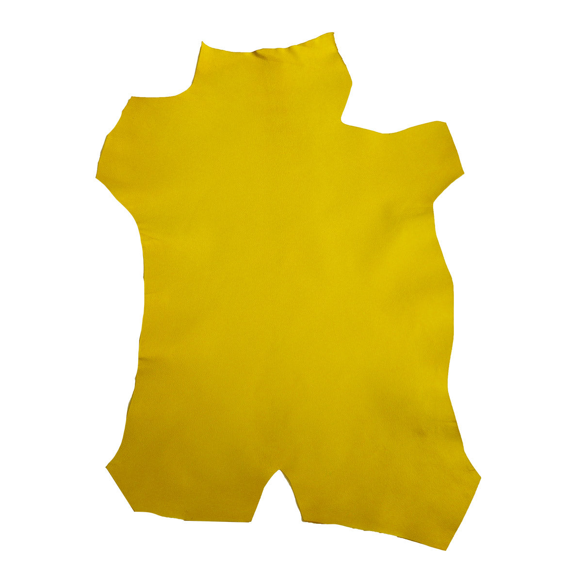 Sweatshirt À Capuche Homme Veste Capuche Automne Hiver Manches