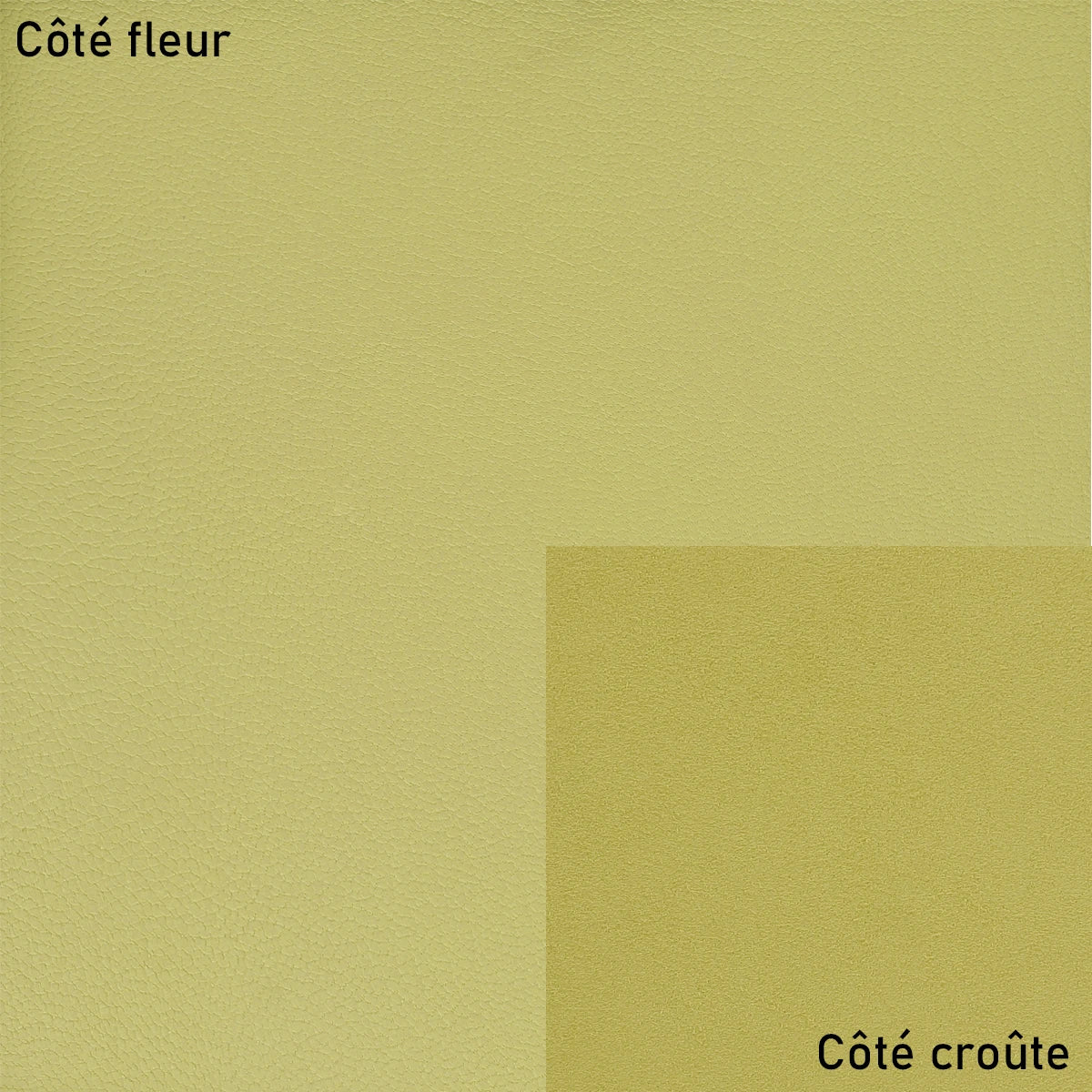 Cuir de chèvre grainé  vert chartreuse