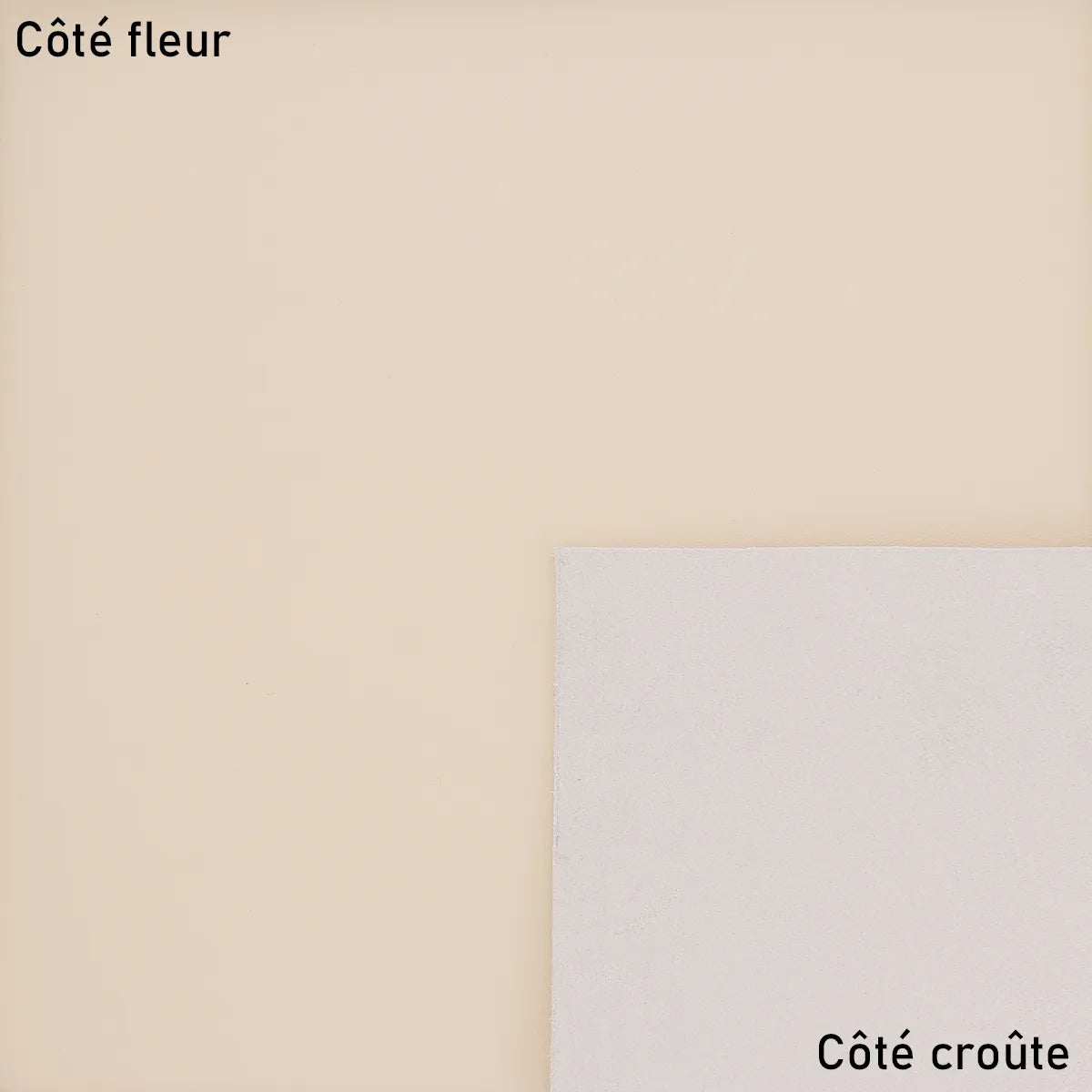 Cuir de vachette lisse - Beige S17 - Deco cuir