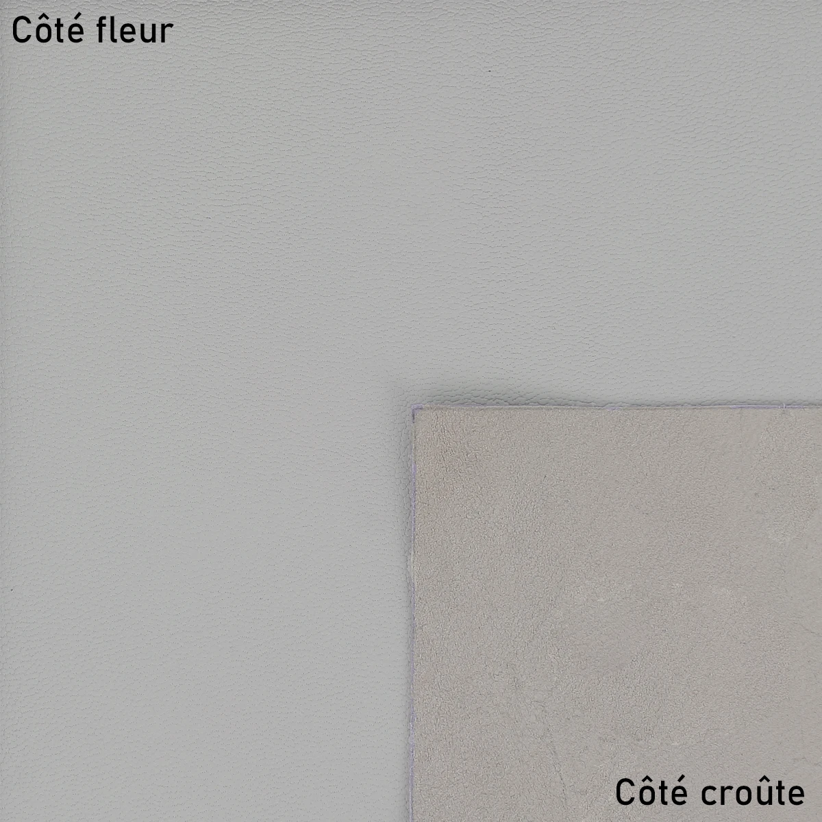 Cuir grain fin - Chèvre