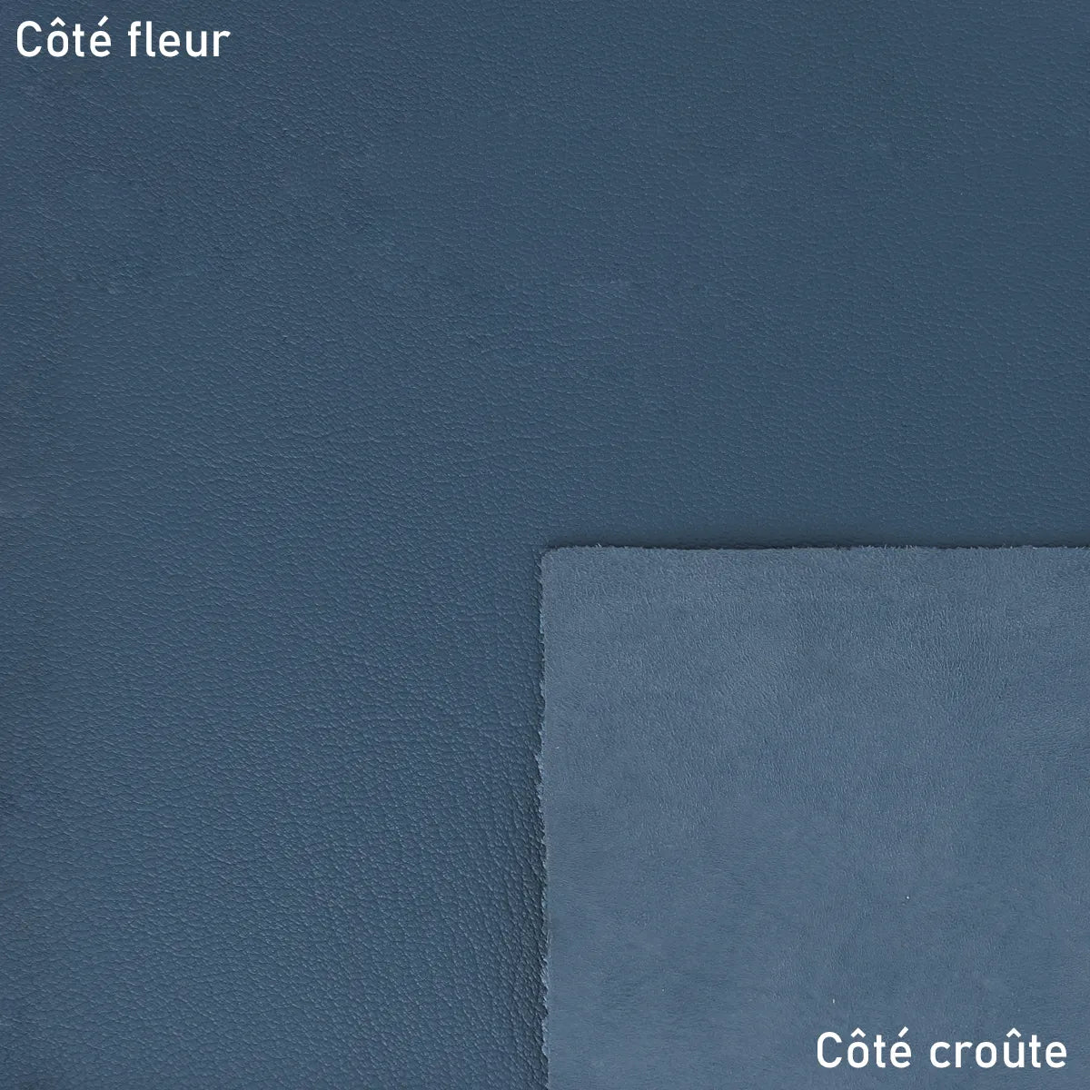 Cuir de chèvre grainé bleu