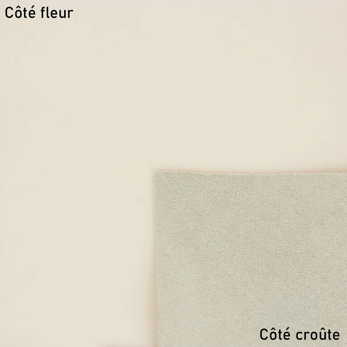 Peau de cuir de veau lisse blanc cassé, visible côté croûte. Cuir pour maroquinerie et conception d'accessoire