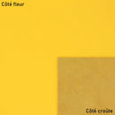 Cuir lisse jaune - Vachette