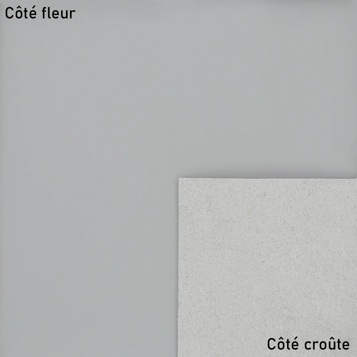 Peau de cuir grise gamme gommato