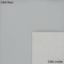 Peau de cuir grise gamme gommato