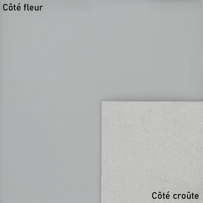 Peau de cuir grise gamme gommato