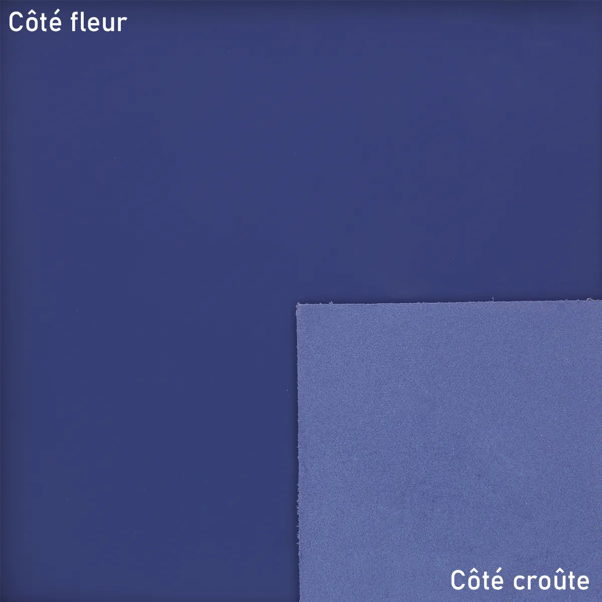 Peau de cuir lisse bleu gamme gommato