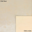 Peau de cuir velours reflets dorés 