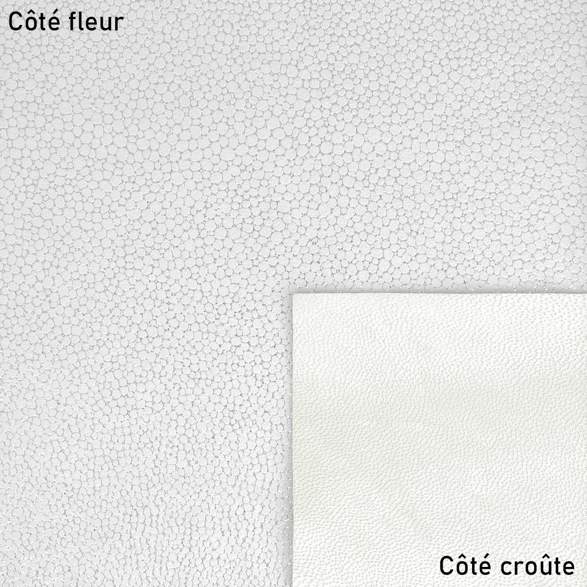 Peau de cuir blanche et argentée scintillante