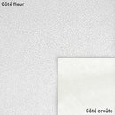 Peau de cuir blanche et argentée scintillante