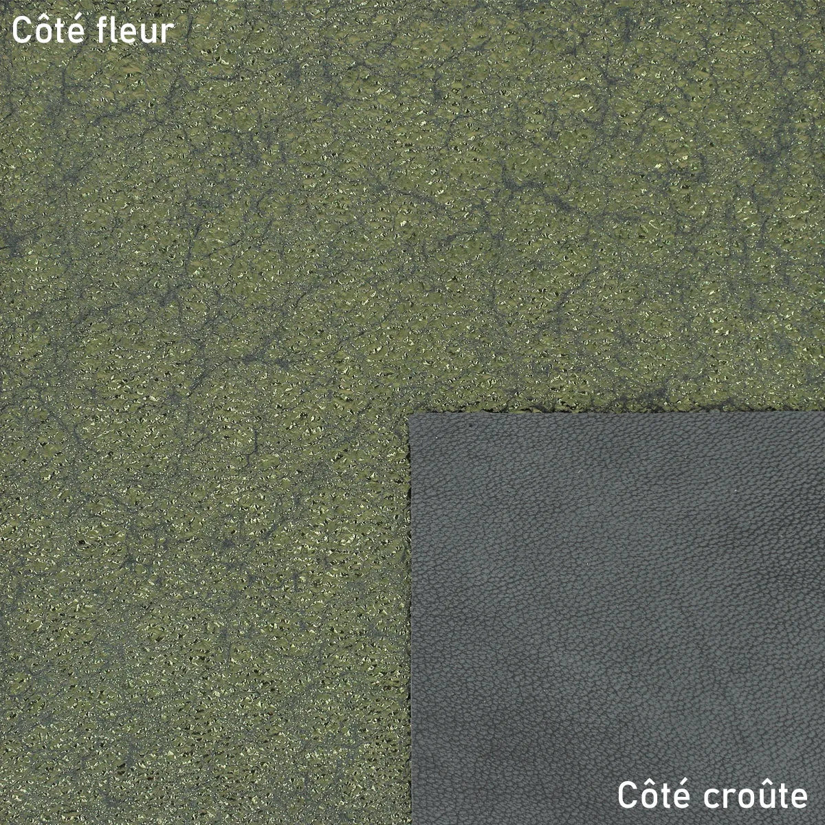 Peau de cuir vert craquelé scintillant