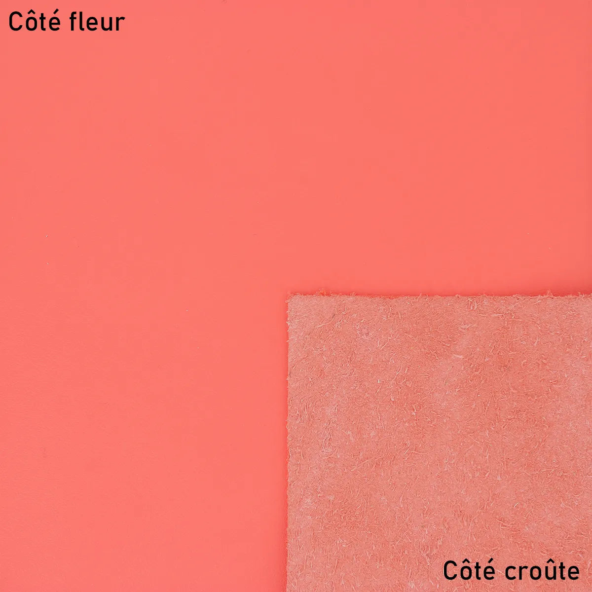 Cuir lisse - Rose fruit du dragon S76 - Deco cuir