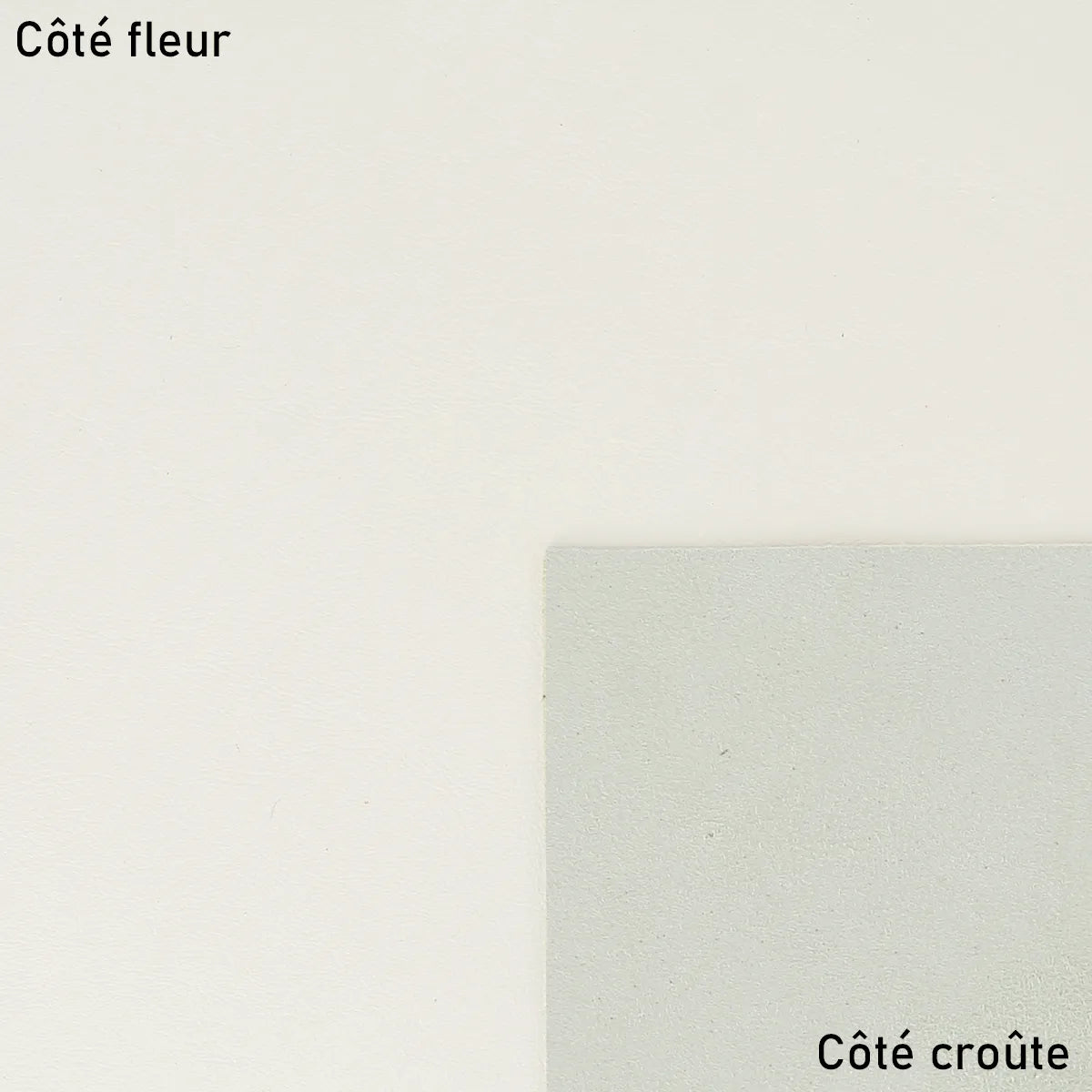 Cuir d'agneau nappa blanc cassé