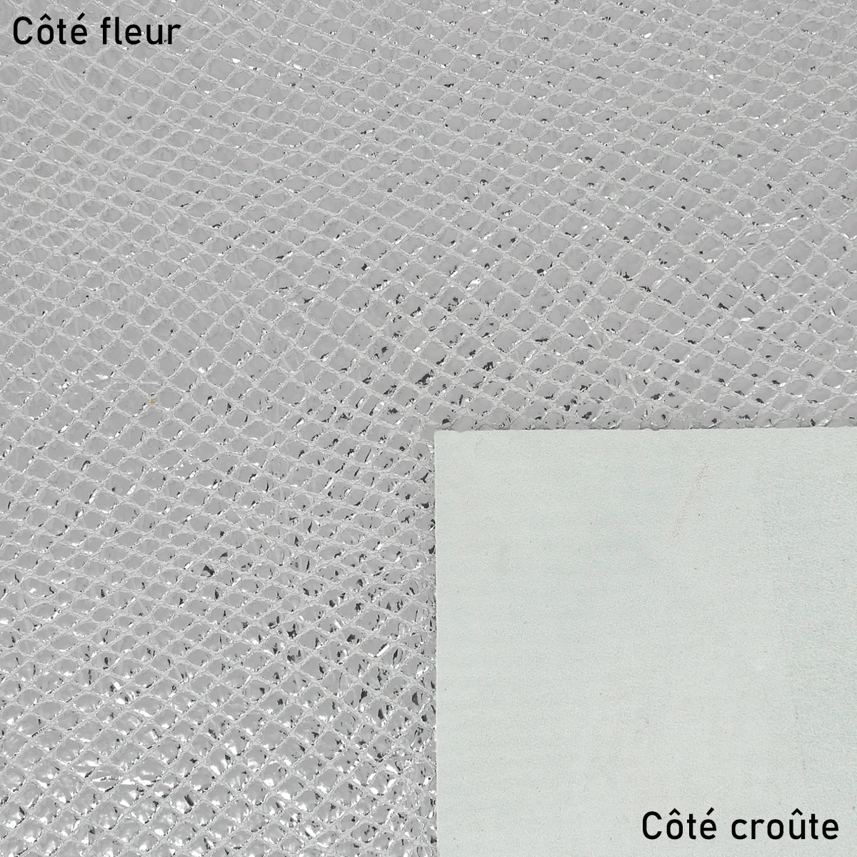 Peau de cuir argenté motif reptile éblouissant
