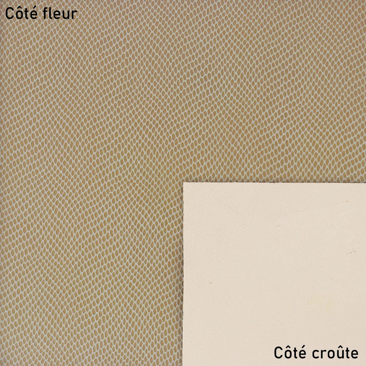 Peau de cuir lézard tons nude pour créations élégantes