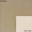 Peau de cuir lézard tons nude pour créations élégantes