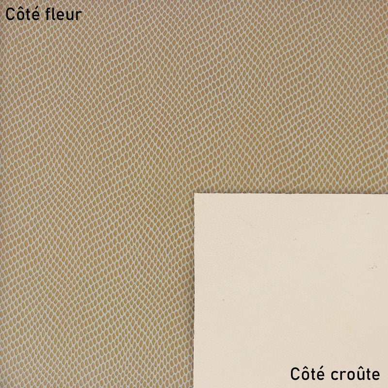 Peau de cuir lézard tons nude pour créations élégantes