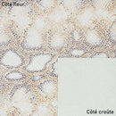 Peau de cuir reptile naturel pour créations élégantes 