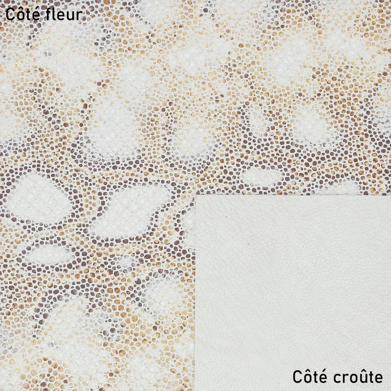 Peau de cuir reptile naturel pour créations élégantes 