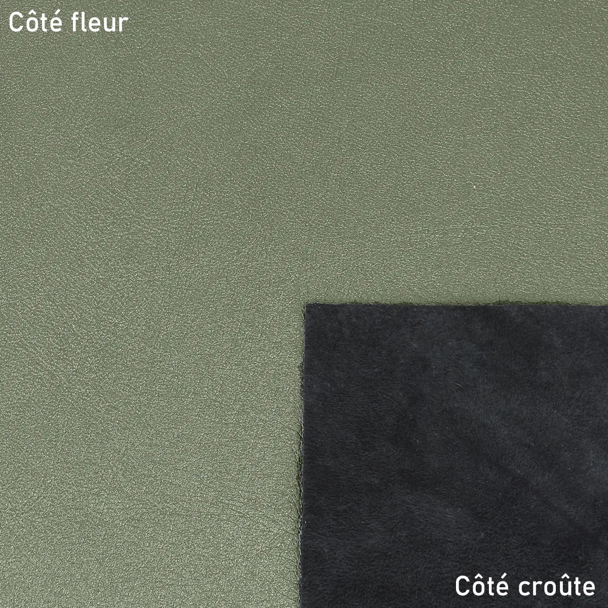 Peau de cuir vert métallisé pour créations modernes