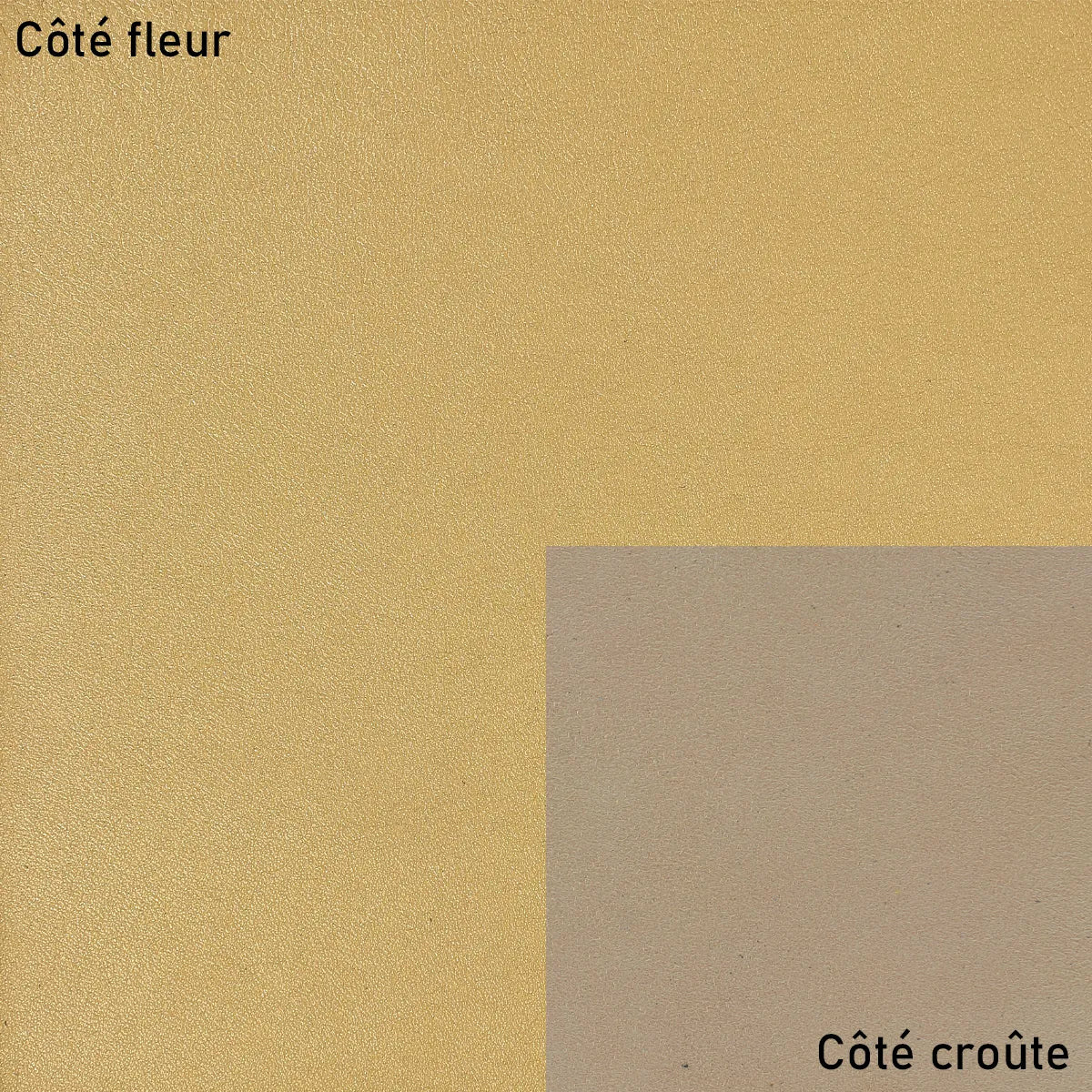 Cuir grain fin et naturel couleur or