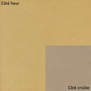 Cuir grain fin et naturel couleur or