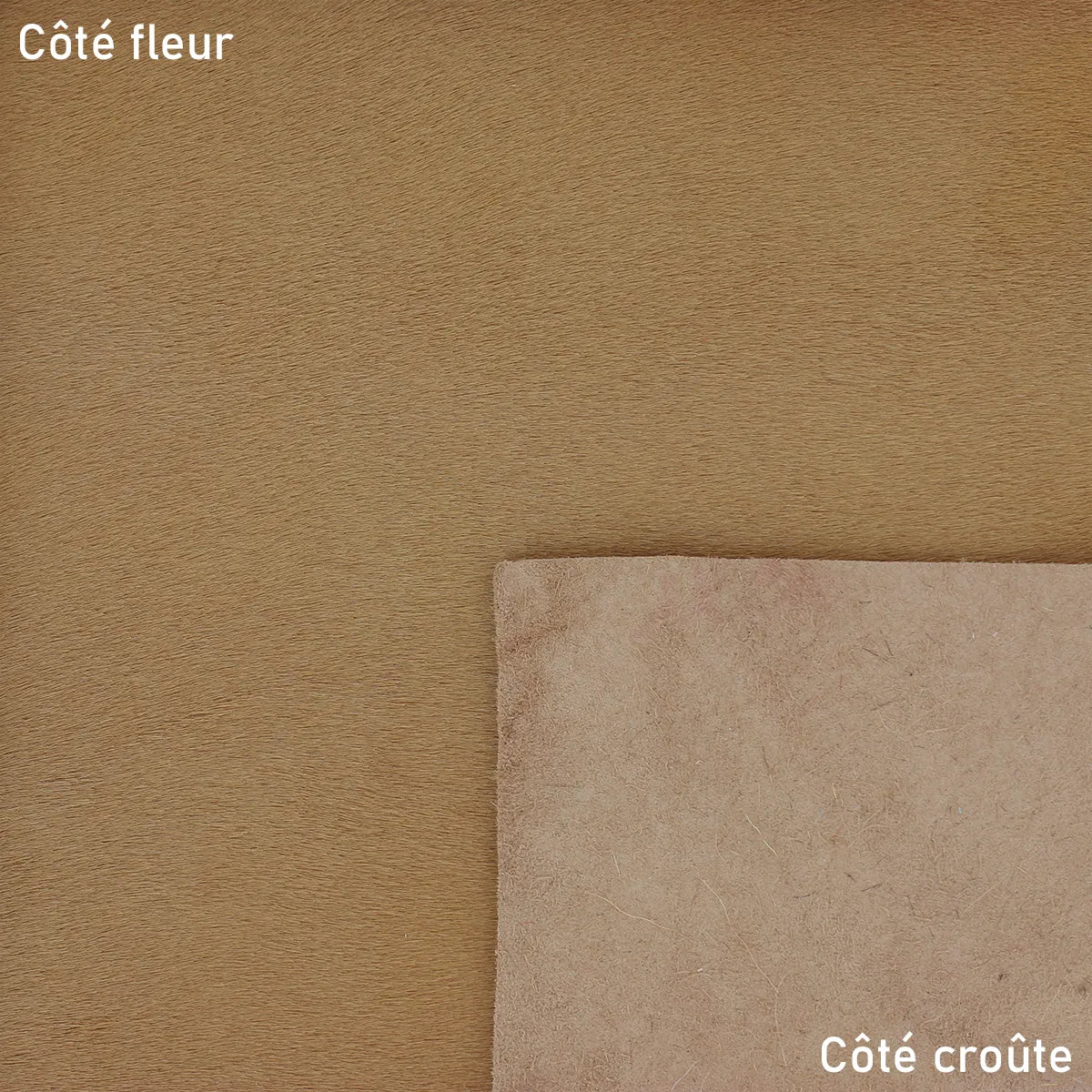 Peau de cuir de veau à poils couleur camel clair. Cuir à poils cavallino idéal pour la fabrication d'accessoire.