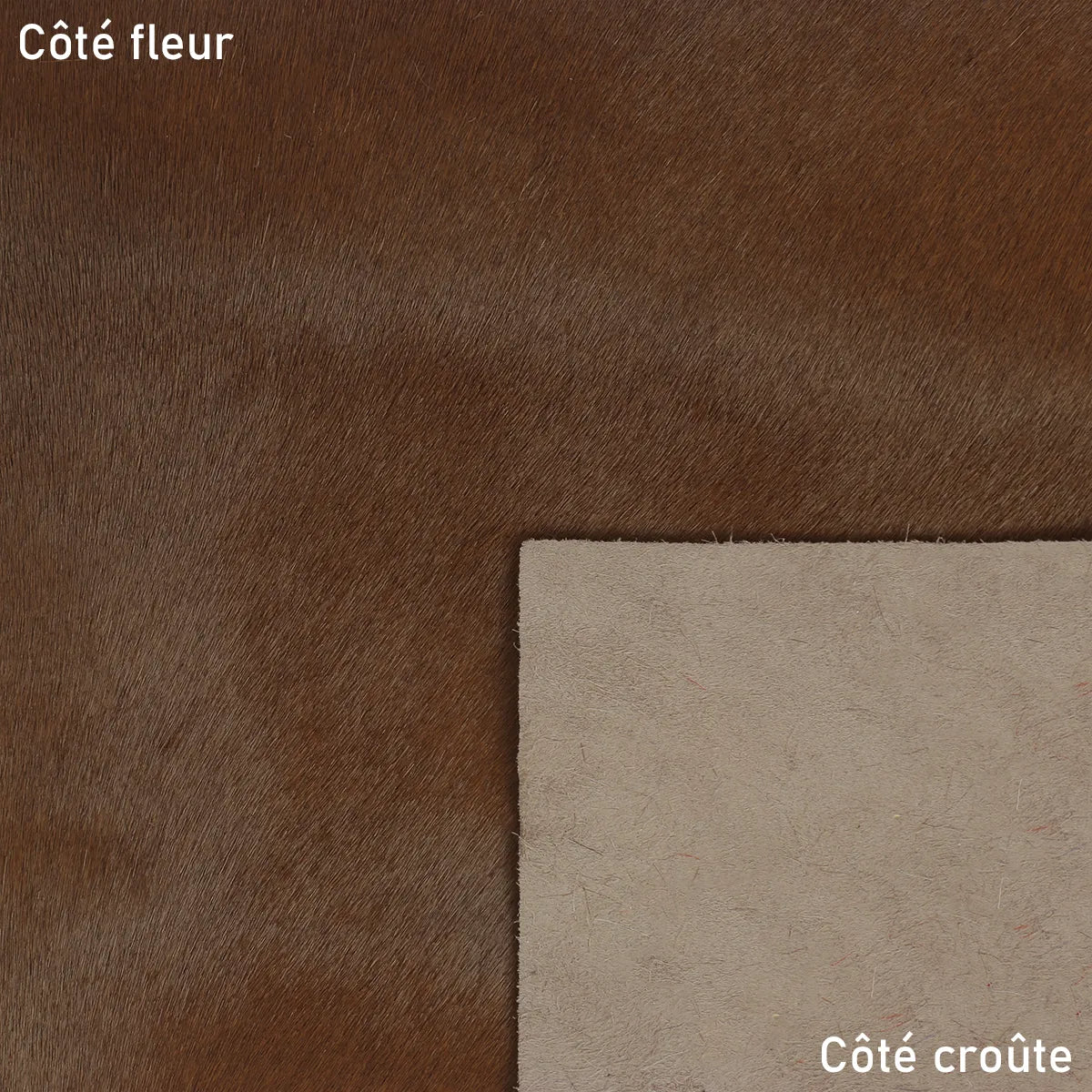 Peau de cuir à poils courts couleur marron alezan. Cuir de haute qualité pour la création de chaussure, pochette, rabat de sac, coussins...