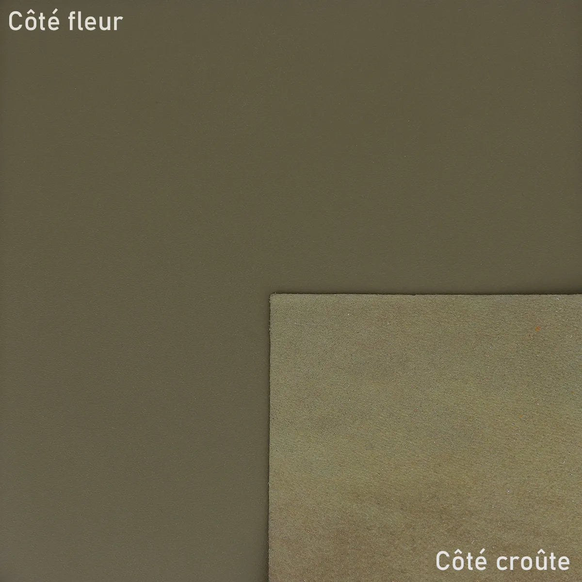 Cuir pleine fleur lisse - Vert foncé U87 - Deco cuir