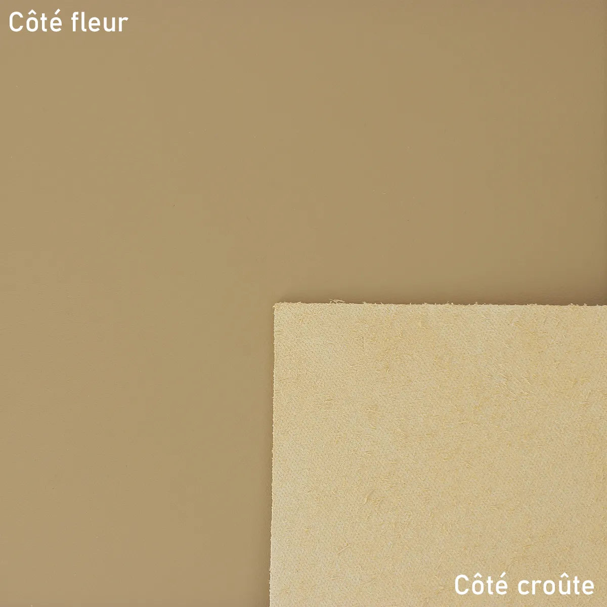 Peau de cuir de vachette Venus en couleur café au lait, cuir lisse et souple, pour projets de maroquinerie ou décoration intérieure.