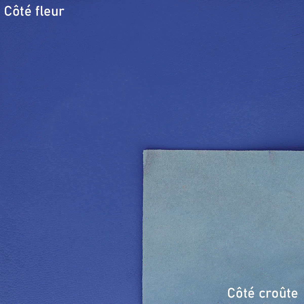 Peau de cuir de chèvre grainée couleur bleu électrique, texture fine, souple et élégante