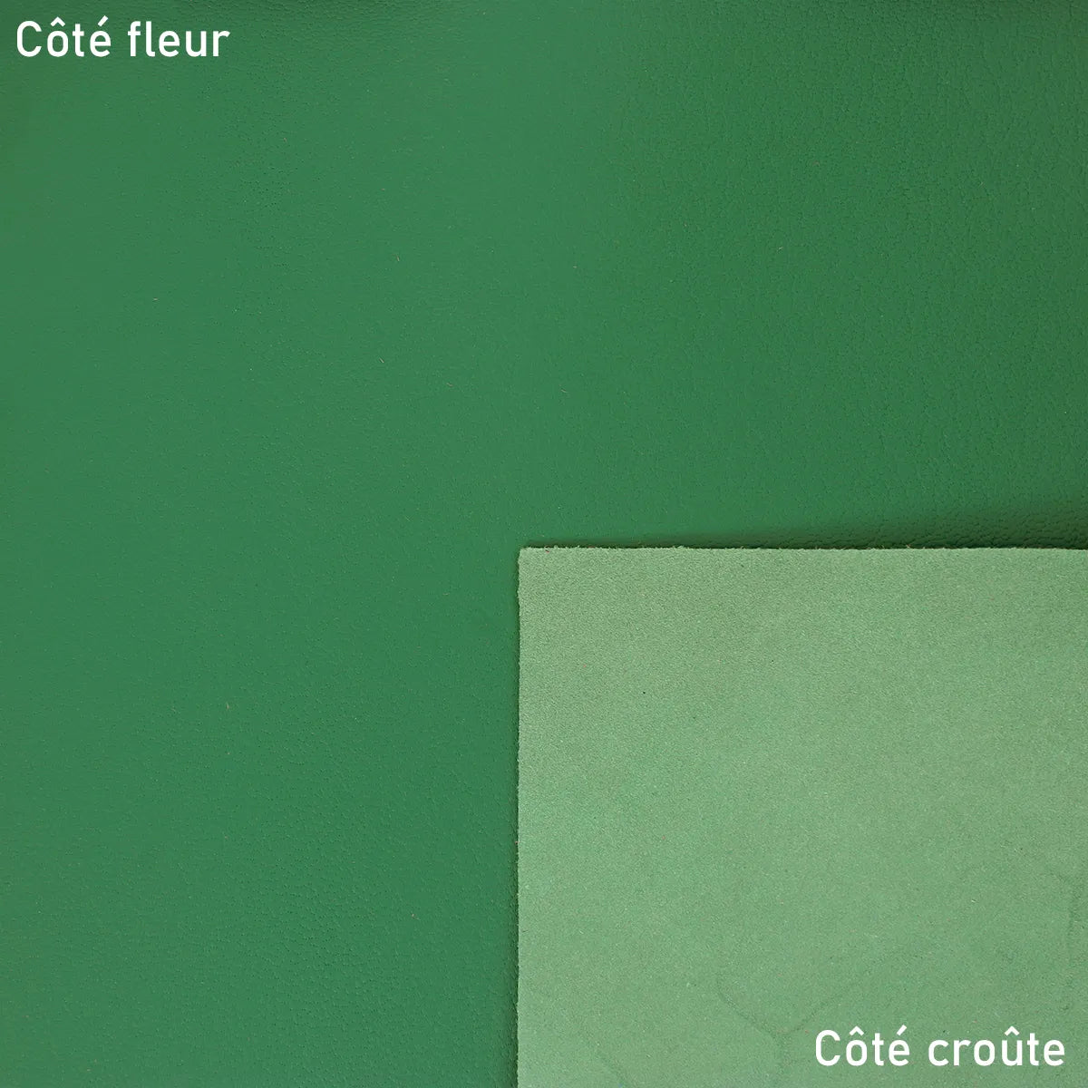 Peau de cuir de chèvre grainée vert V30, texture fine et souple, idéale pour la maroquinerie et la couture.