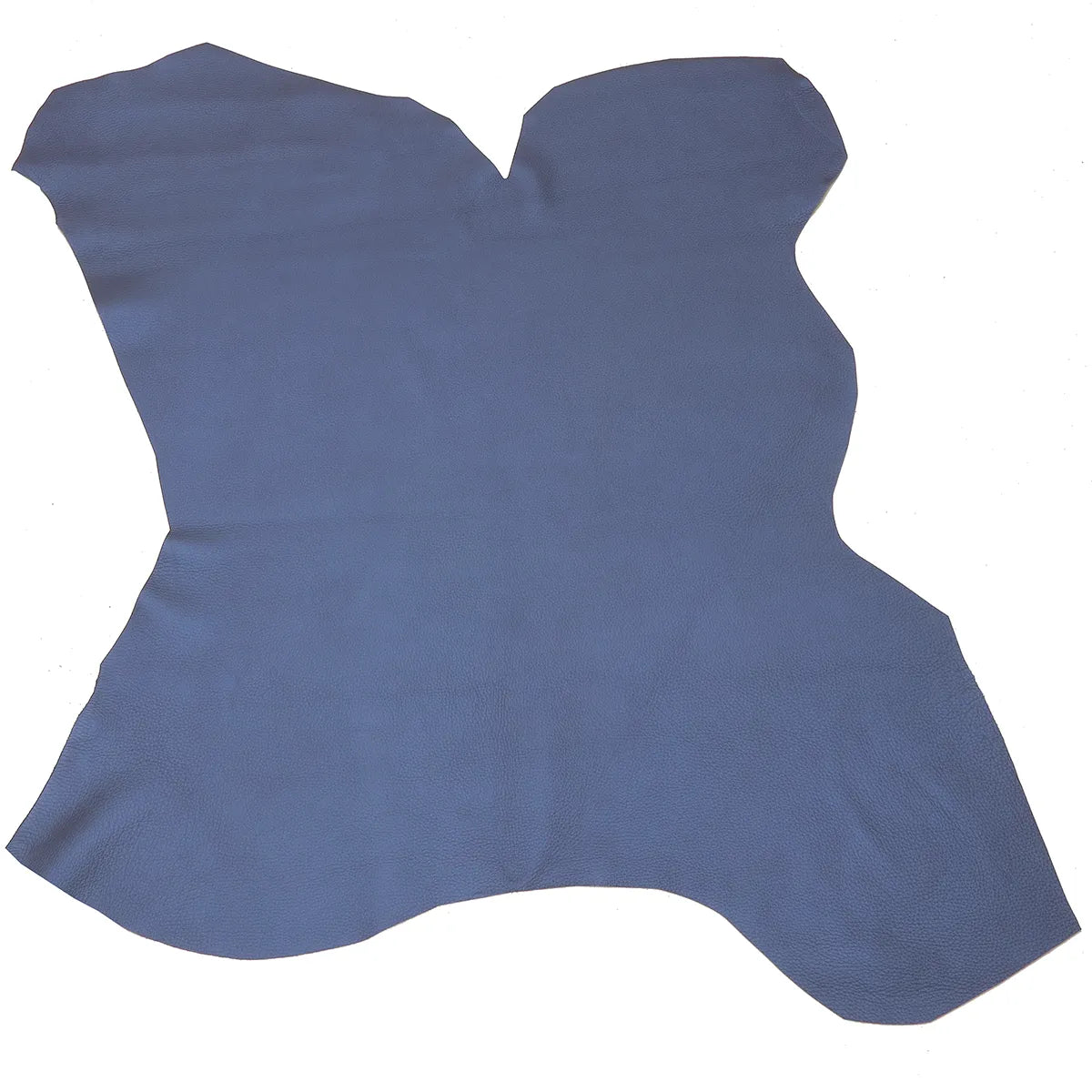 Peau entière en cuir de cerf bleue avec de subtils reflets nacrés.