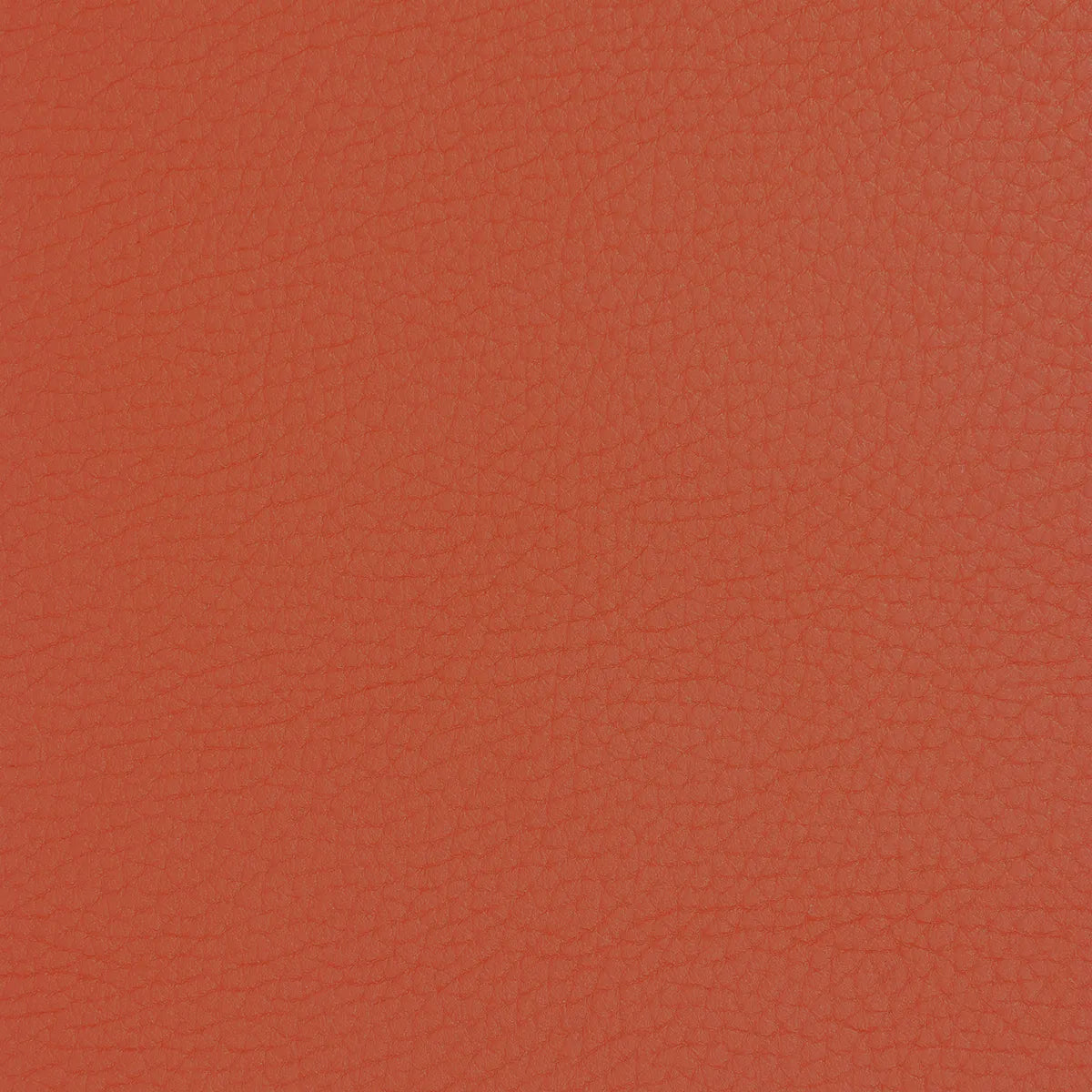 Morceau de cuir de cerf orange cuivré avec de jolis reflets nacrés dorés. 