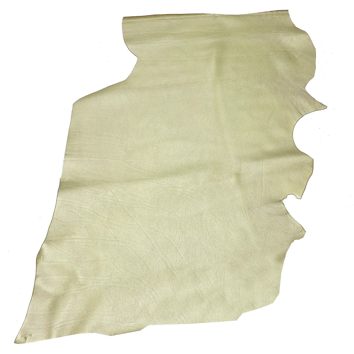 Peau entière en cuir grainée métallisé vert clair