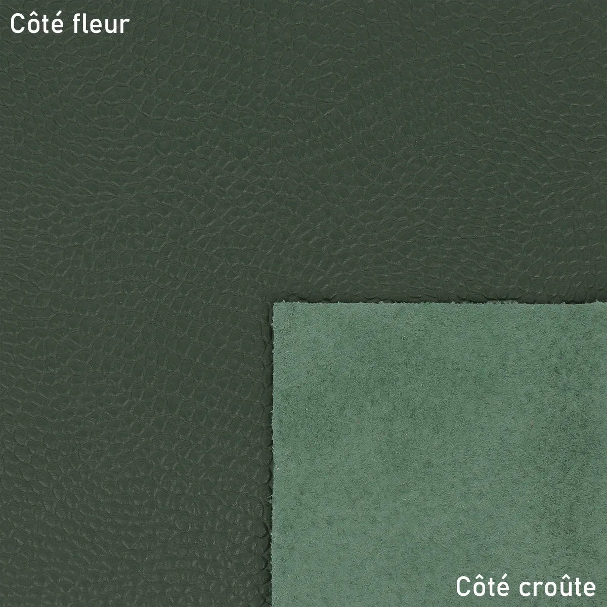 Cuir grain reptile couleur vert foncé.