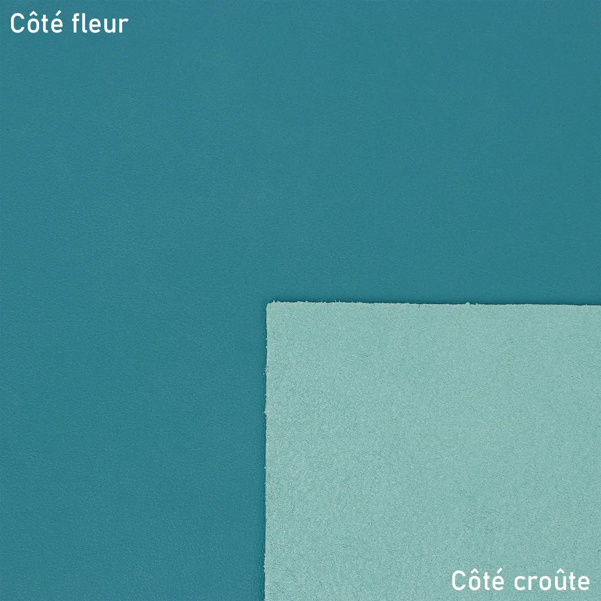 Cuir de vachette lisse bleu clair.