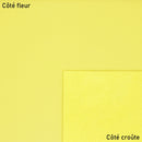 Cuir d'agneau nappa lisse vert lime. Cuir lisse qui s'adapte parfaitement bien pour la fabrication de sac à main, pochette, vêtement de grande qualité, chausson...