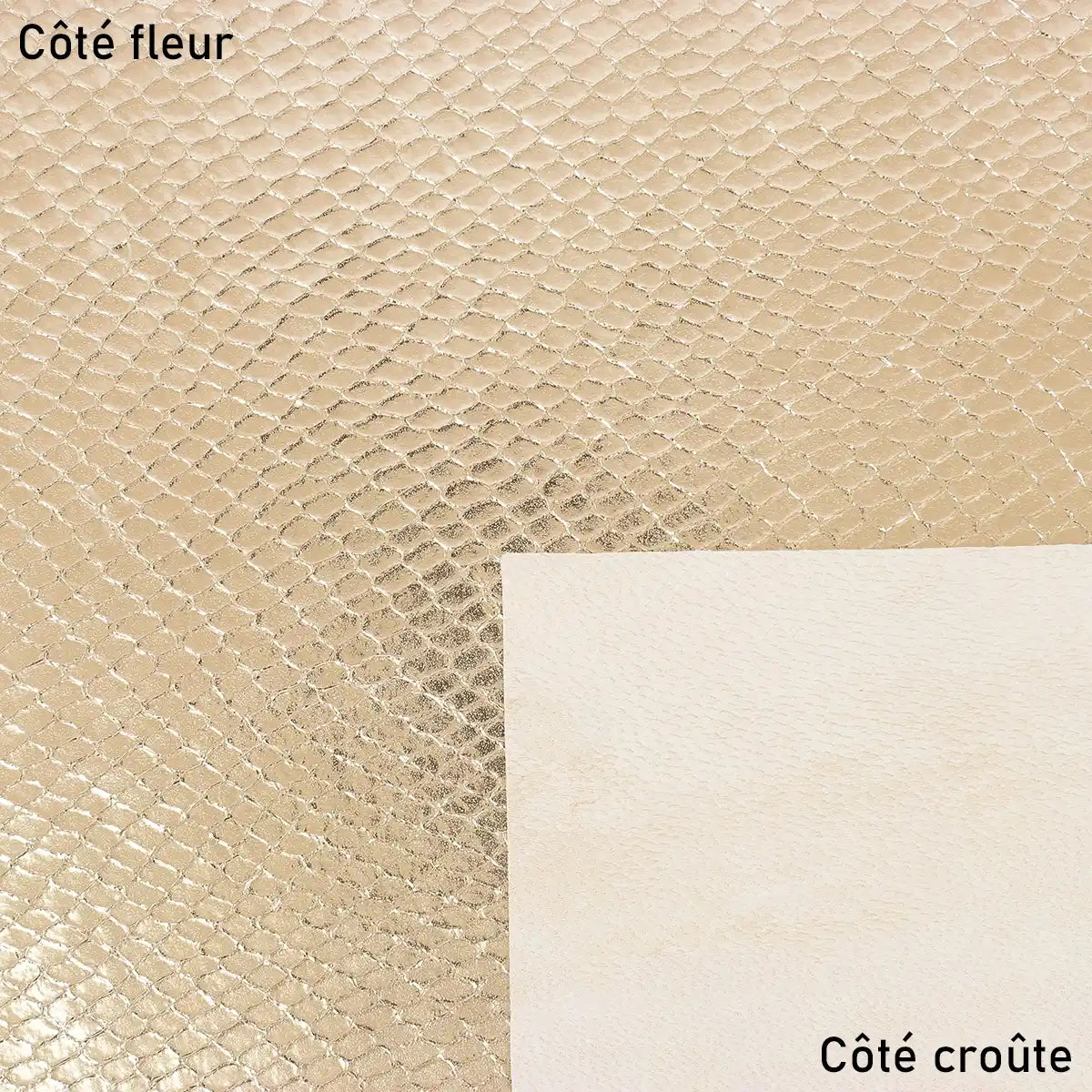 Cuir doré à motif reptile lumineux