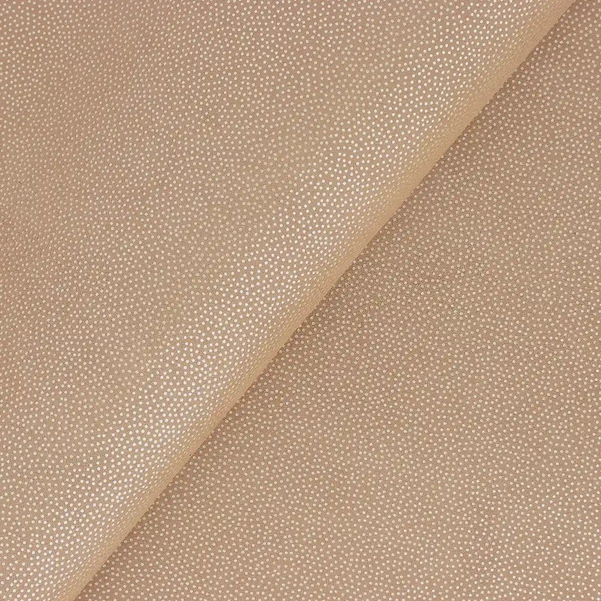 Zoom sur les détails de ce cuir de chèvre velours beige avec des petits points lumineux dorés.