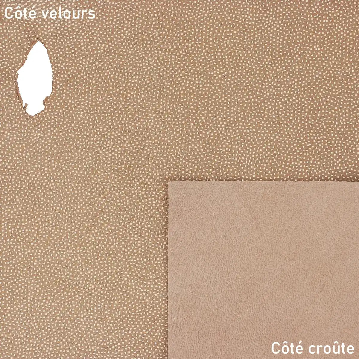 Cuir velours beige avec motif pointillé doré. Cuir de second choix à petit prix pour réaliser des tests ou des essais.