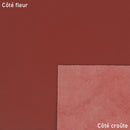 Cuir de veau nappa lisse marron brique. Peau de cuir nappa en gamme suivie pour continuité de vos collections.