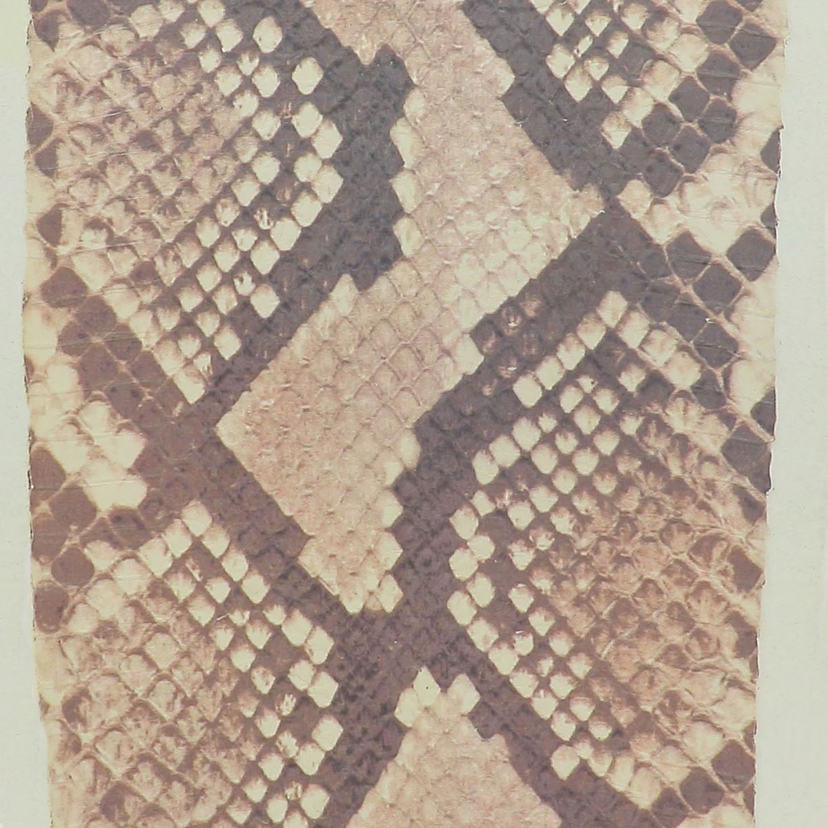 Peau de cuir de serpent Élaphe dorsale gutté - MARRON