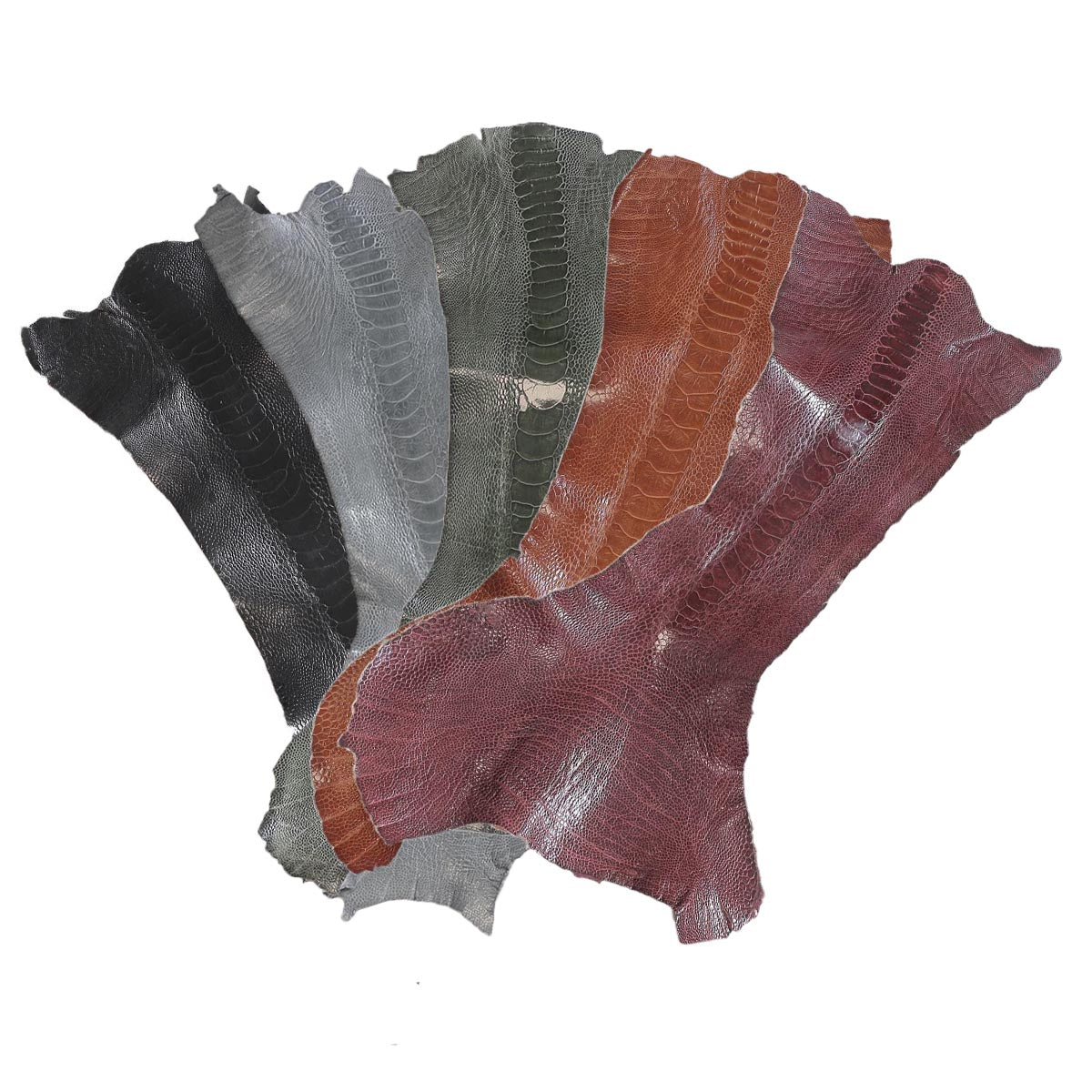 Peau de patte d'Autruche - Ép 0,8mm - NOIR P80 - Deco Cuir