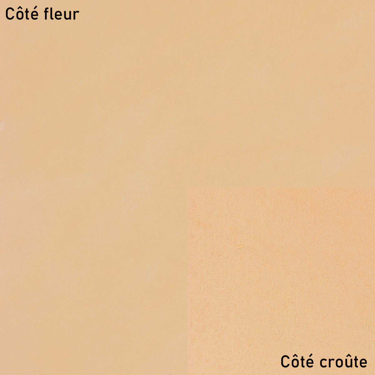 Échantillon de cuir PYKARA - Radermecker - Naturel - Deco Cuir