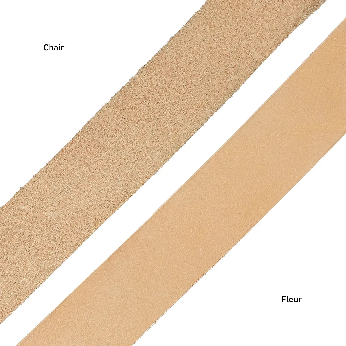 Lanière en cuir équitation couleur naturelle