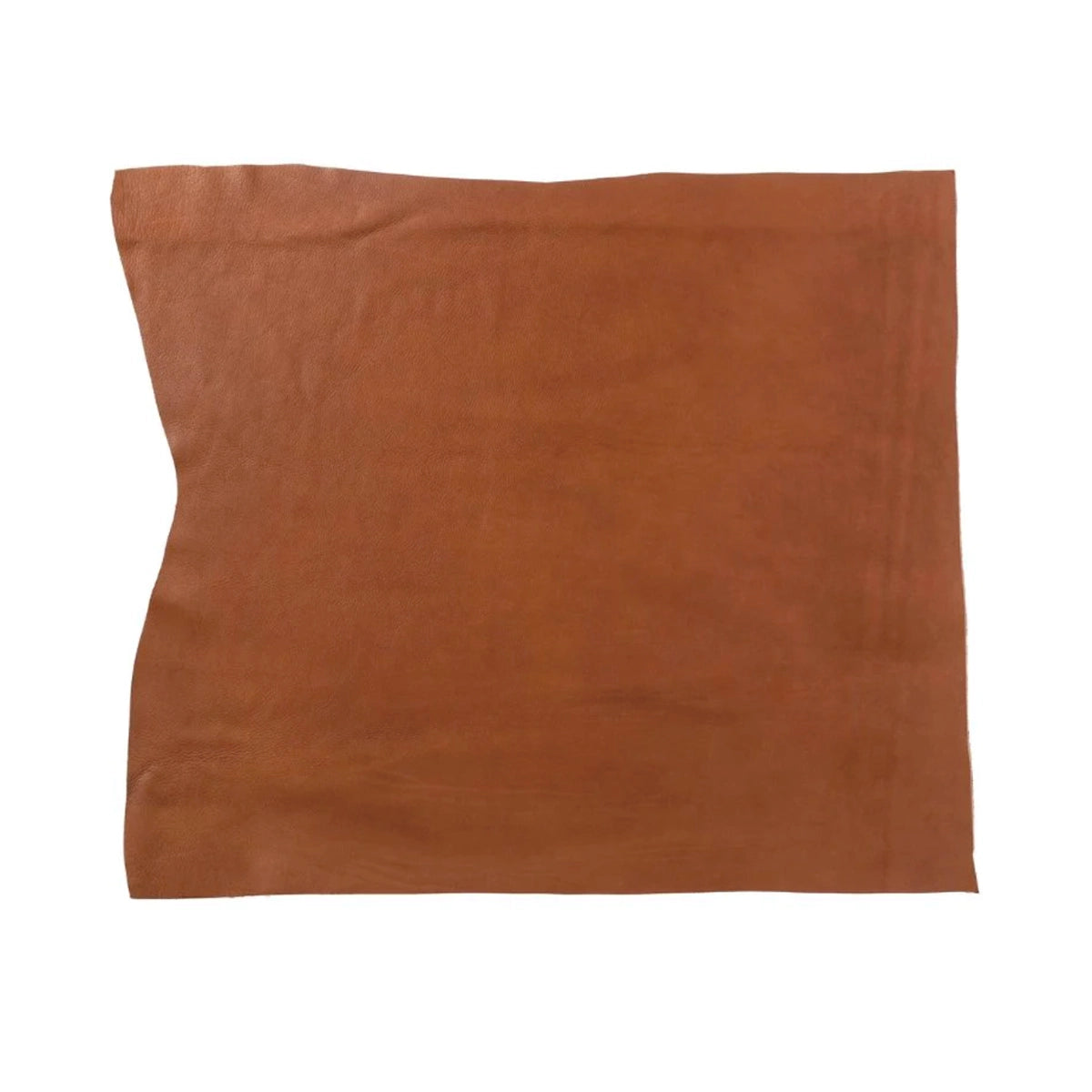 Bande de cuir Angel Radermecker couleur marron clair