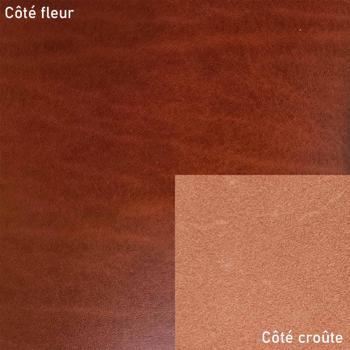 Morceau de cuir de collet tannage végétal SAUVAGE - COGNAC
